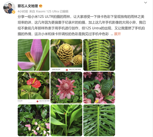 小米12S Ultra镜头下的雨林