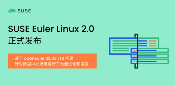 开源软件巨头发布Euler Linux 2.0：支持华为鲲鹏、飞腾处理器