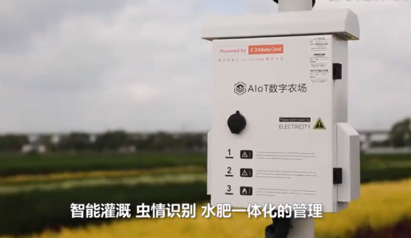 通过AI技术管理稻田