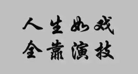 老外油管主播伪装车祸暗拍视频 因扰乱秩序被捕