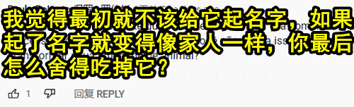 日本主播把养了100天的宠物猪给烤着吃了 结果不到10天猪又复活了？