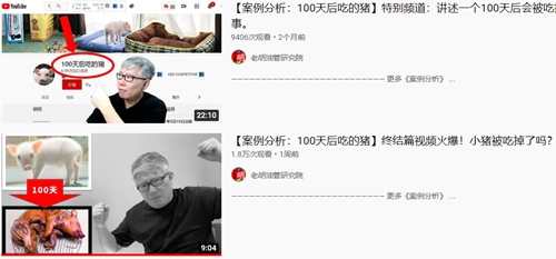 日本主播把养了100天的宠物猪给烤着吃了 结果不到10天猪又复活了？