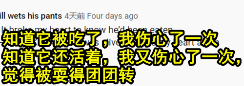 日本主播把养了100天的宠物猪给烤着吃了 结果不到10天猪又复活了？