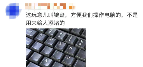 日本主播把养了100天的宠物猪给烤着吃了 结果不到10天猪又复活了？