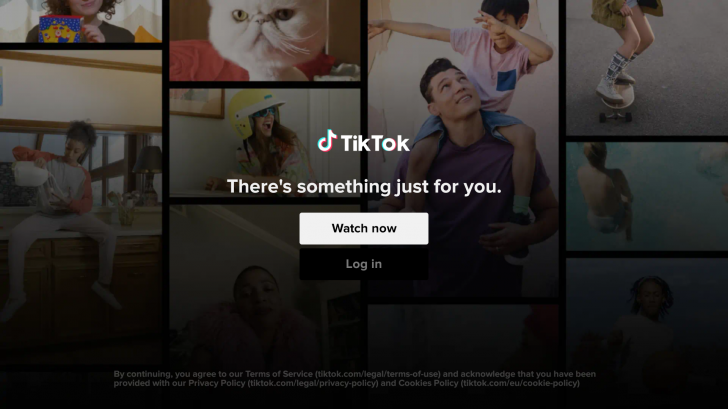 TikTok电视版首图.png