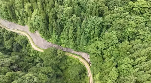 工作娱乐两不误 岛国生物系网红买下荒山只为抓昆虫圆儿时梦