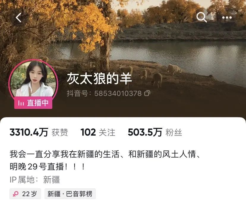 “灰太狼的羊”走红：城乡之间的数字栖息，围城内外的赛博小憩