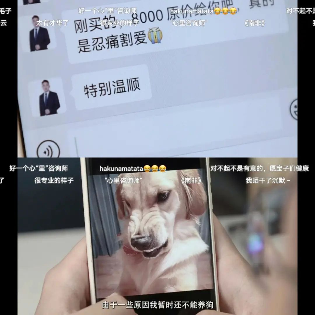 他养了一朵云当宠物，视频号7天涨粉50万 | 新榜专访