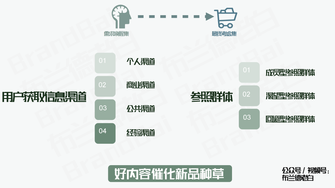 红海突围 | 好内容驱动品牌新增长